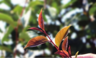 pagenumber_ebook=7,pagenumber_book=8