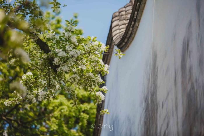 微信图片_20220406153759 微信图片_20220406153759.png