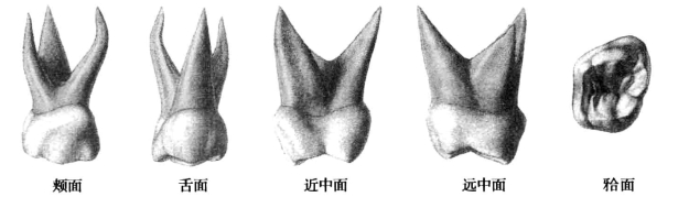 pagenumber_ebook=43,pagenumber_book=34