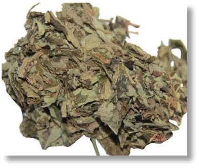 pagenumber_ebook=174,pagenumber_book=161