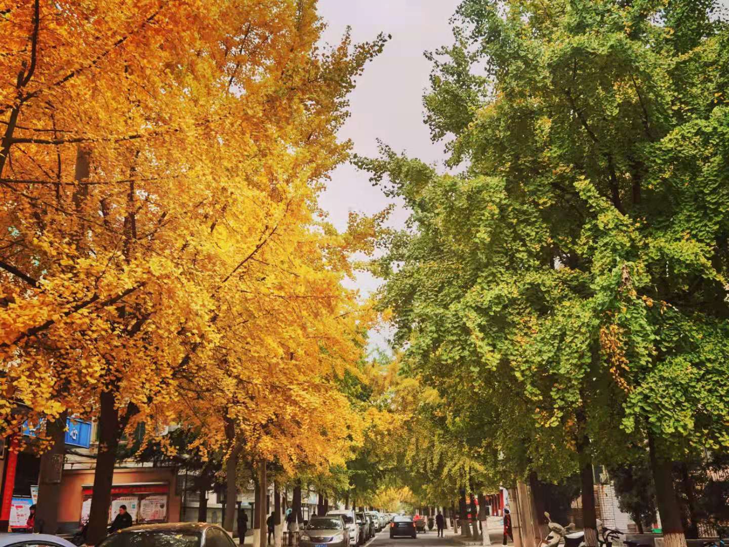 53ccbd866f6f27ec1653225737b36e7