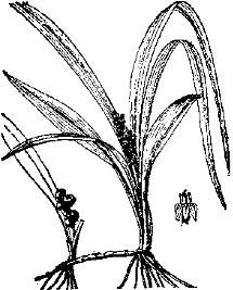 pagenumber_ebook=256,pagenumber_book=256