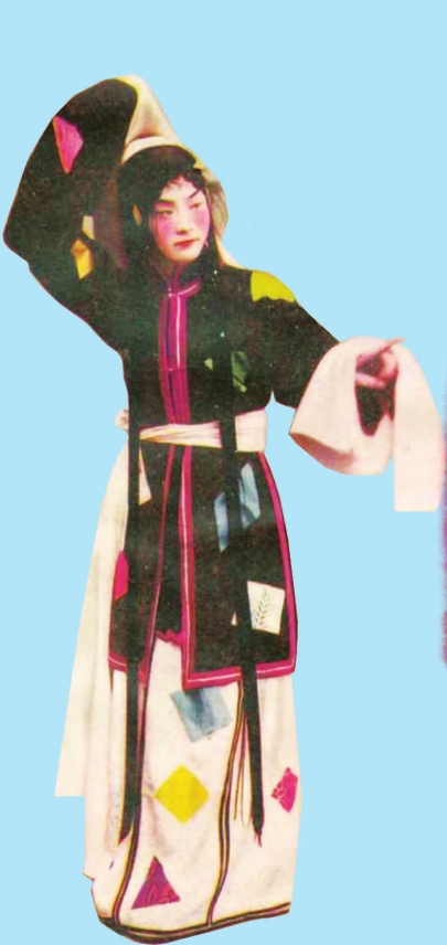 pagenumber_ebook=100,pagenumber_book=100