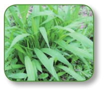 pagenumber_ebook=41,pagenumber_book=28