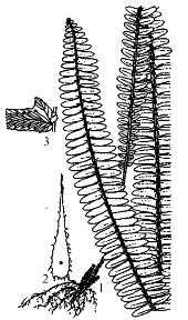 pagenumber_ebook=286,pagenumber_book=286