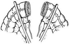 pagenumber_ebook=384,pagenumber_book=369