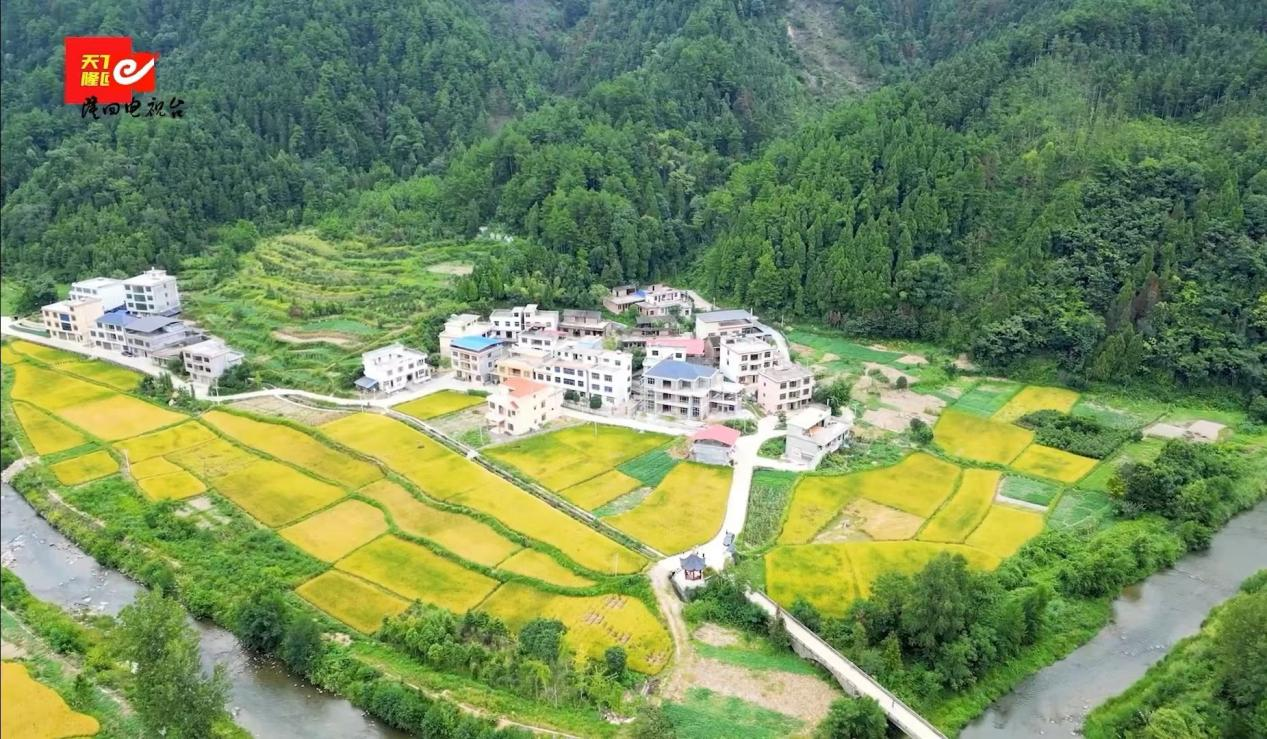 图片38 图片38.png