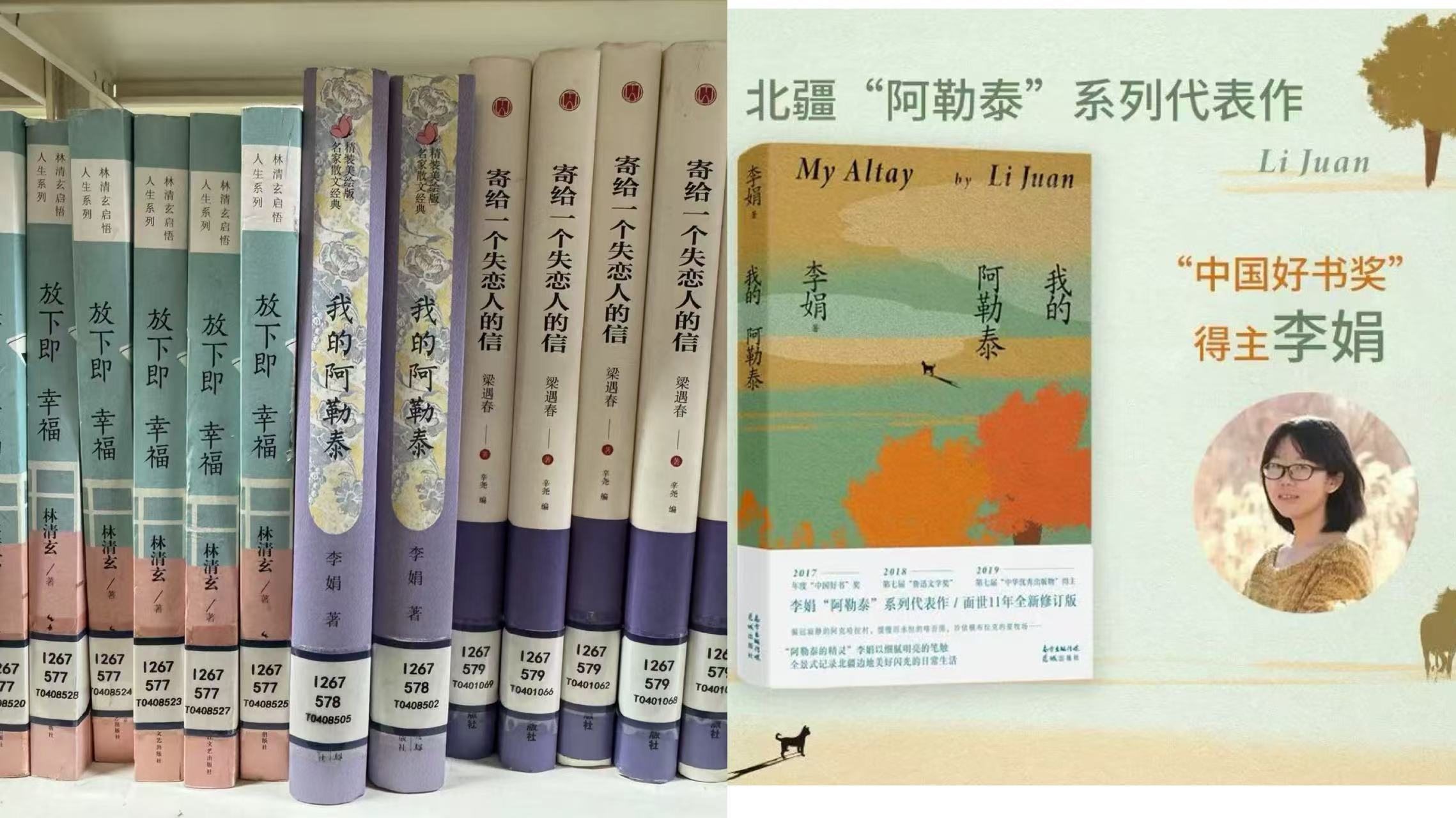 我的阿勒泰