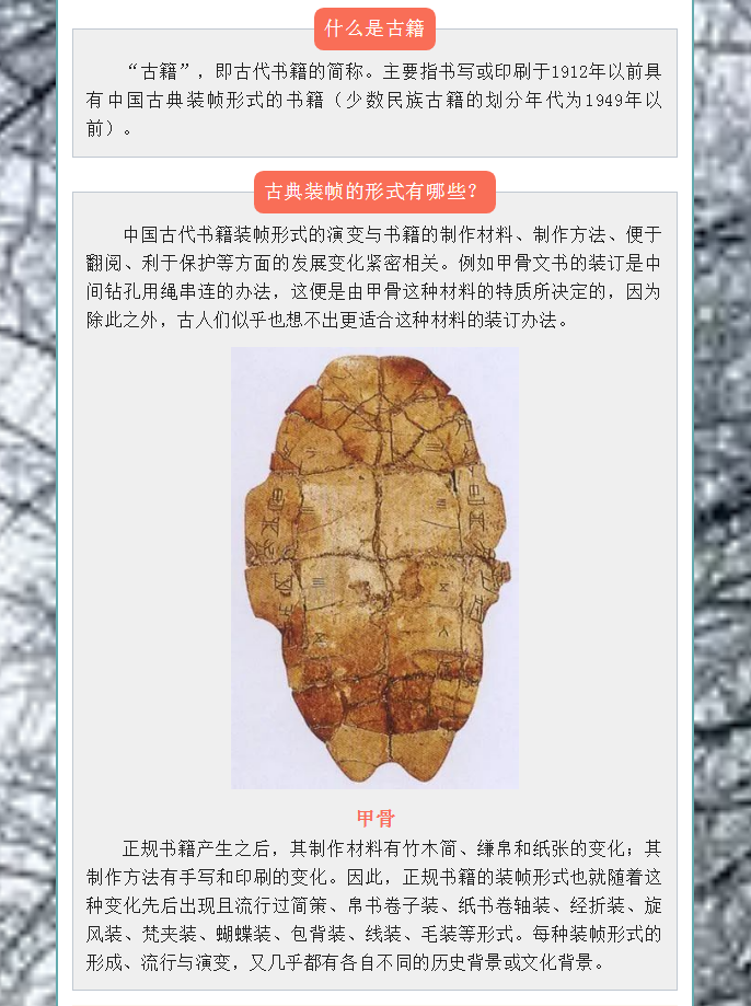 image.png?v=1754275719565