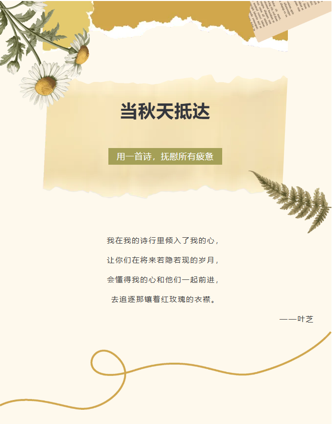 image.png?v=1762126141878