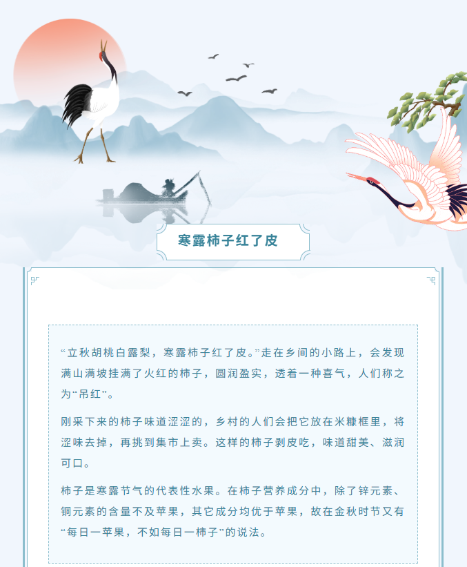 image.png?v=1762099880650