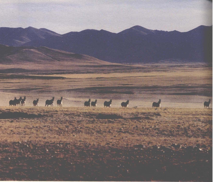 pagenumber_ebook=122,pagenumber_book=114