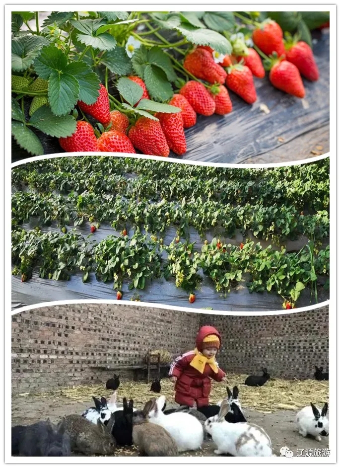 640.webp (3) 640.webp (3)