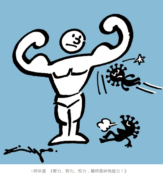 image image.png?v=1784605920644