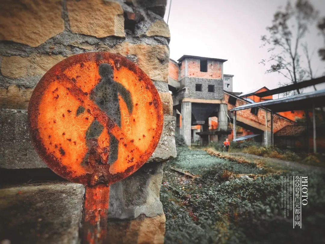 IMG_1439(20200417-111238) IMG_1439(20200417-111238).jpg?v=1765781105416