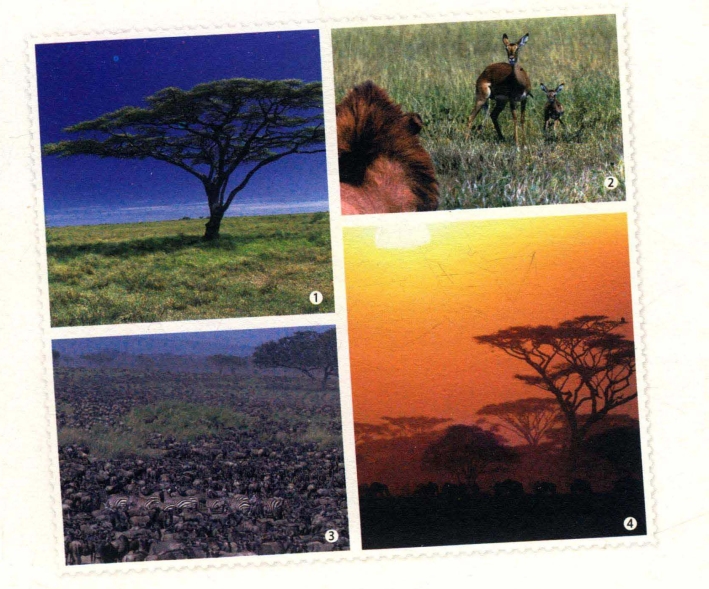 pagenumber_ebook=176,pagenumber_book=167