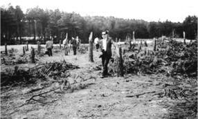 pagenumber_ebook=201,pagenumber_book=191