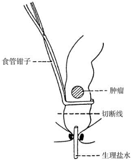 pagenumber_ebook=141,pagenumber_book=126