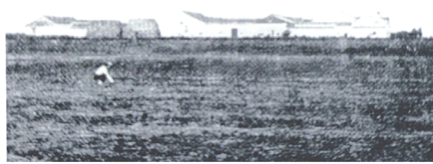 pagenumber_ebook=25,pagenumber_book=10