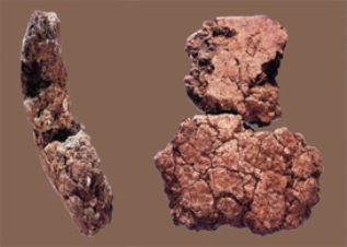 pagenumber_ebook=13,pagenumber_book=3