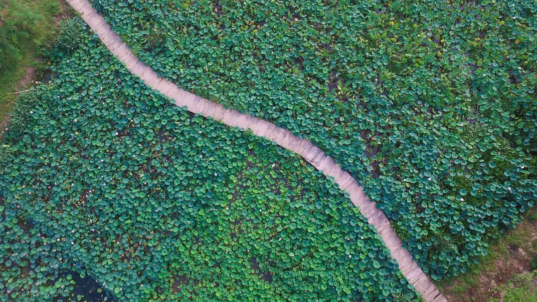 640.webp (1) 640.webp (1).jpg