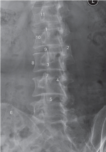 pagenumber_ebook=161,pagenumber_book=152
