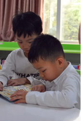 image image.png?v=1772869037710