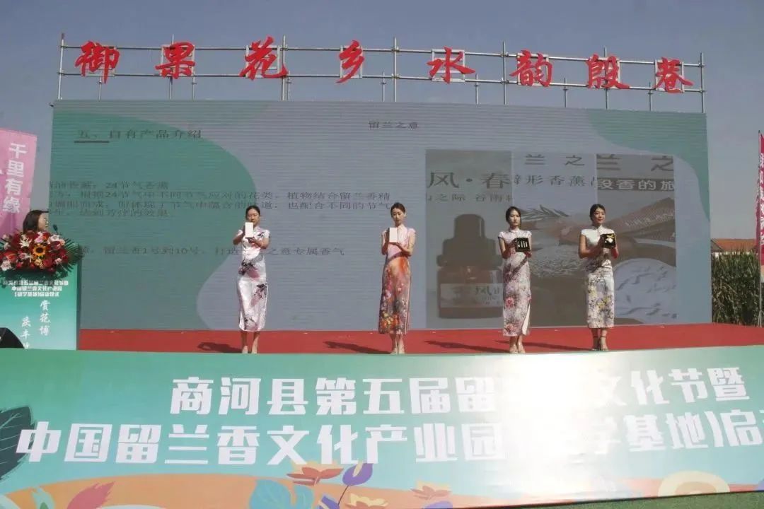 cc3ef021bc06a89755ed943ae7866f9b.jpg