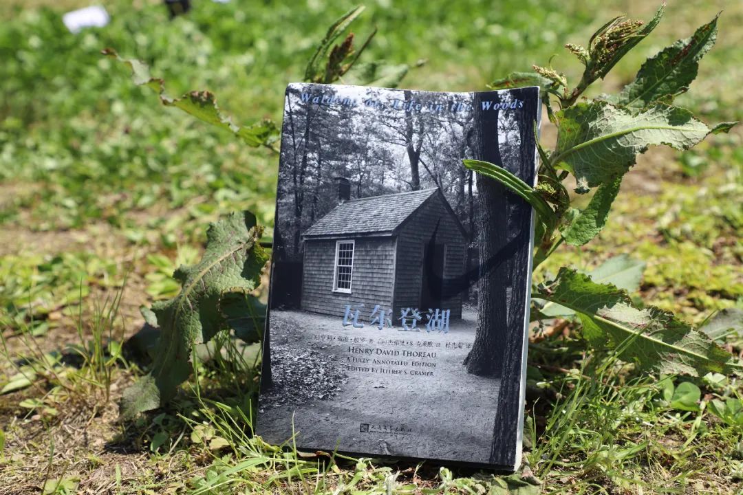 微信图片_20220505172401 微信图片_20220505172401.jpg?v=1766337082660