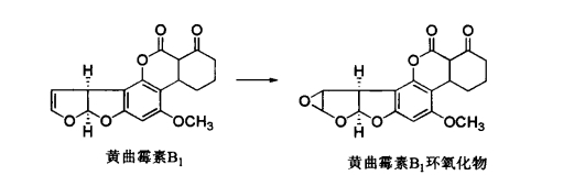 pagenumber_ebook=558,pagenumber_book=540