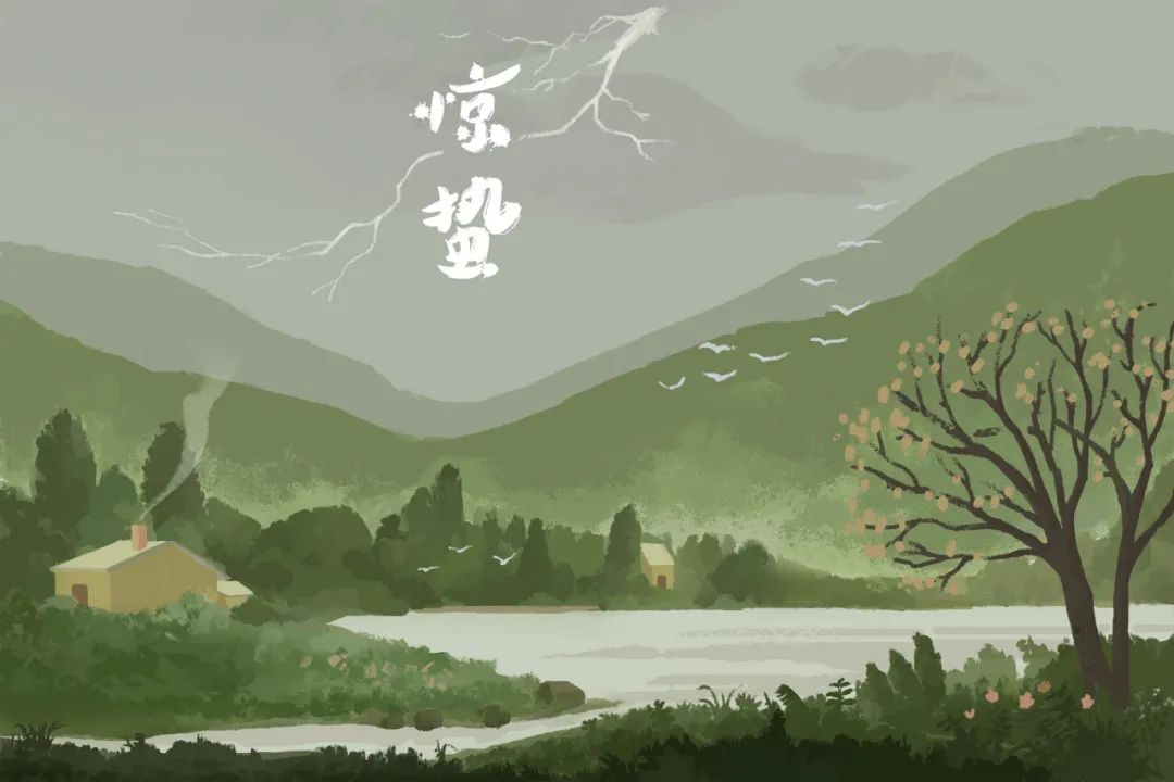 02.jpg