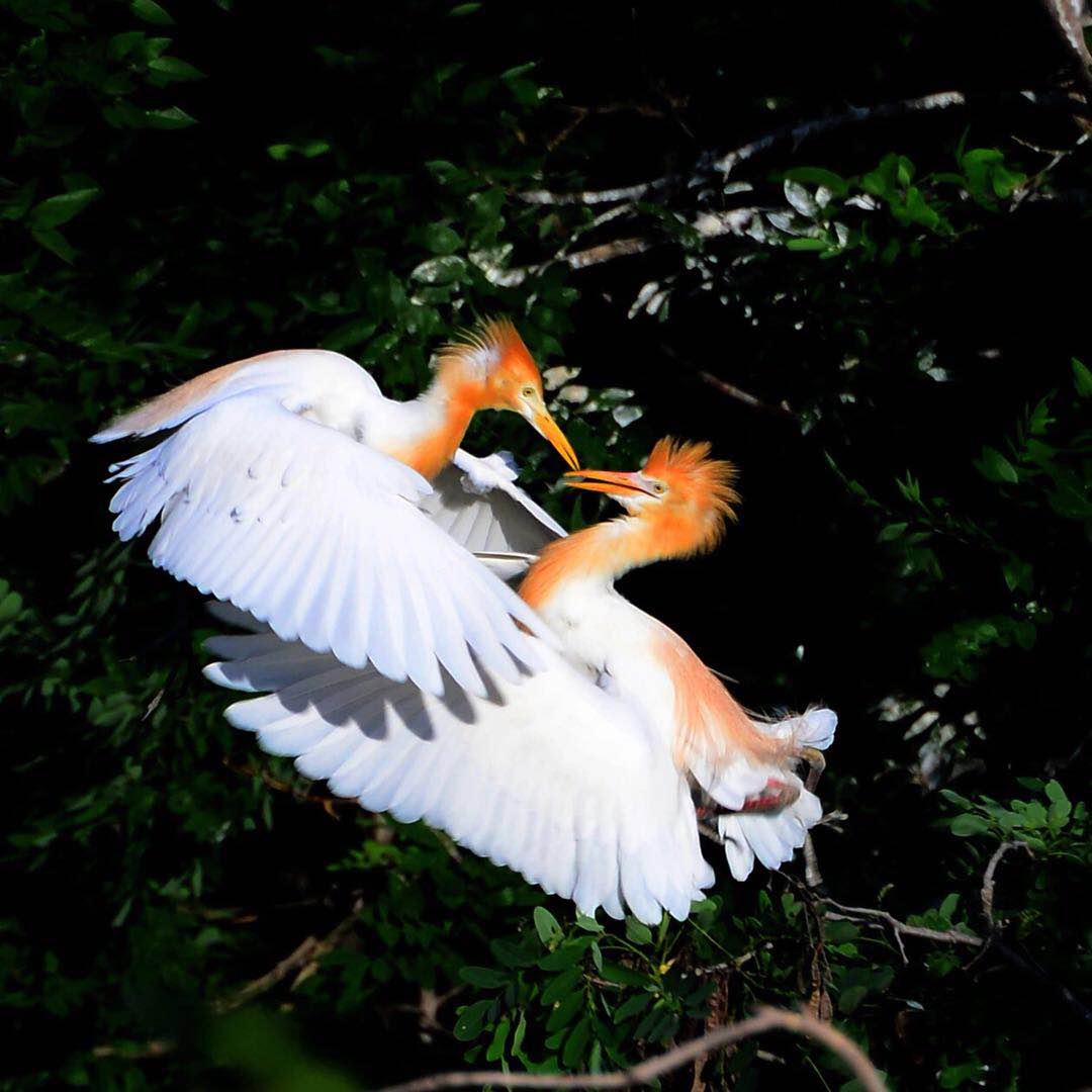 微信图片_20200605164112 微信图片_20200605164112.jpg