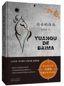 image image.png?v=1770186179878