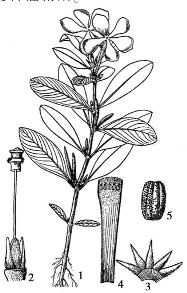 pagenumber_ebook=197,pagenumber_book=197