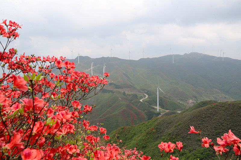 LOCAL202104271506000317176935448