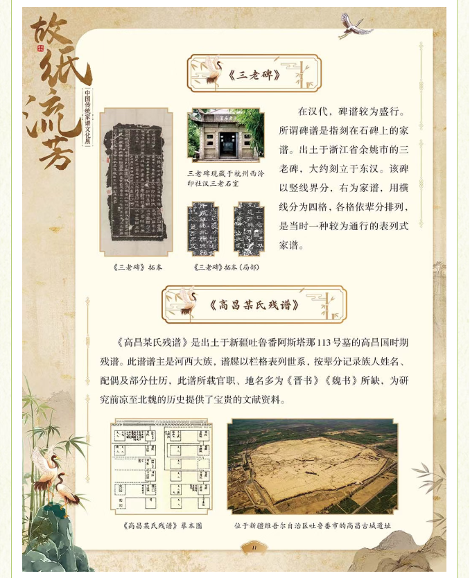 image.png?v=1775271545637