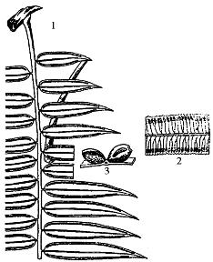 pagenumber_ebook=284,pagenumber_book=284