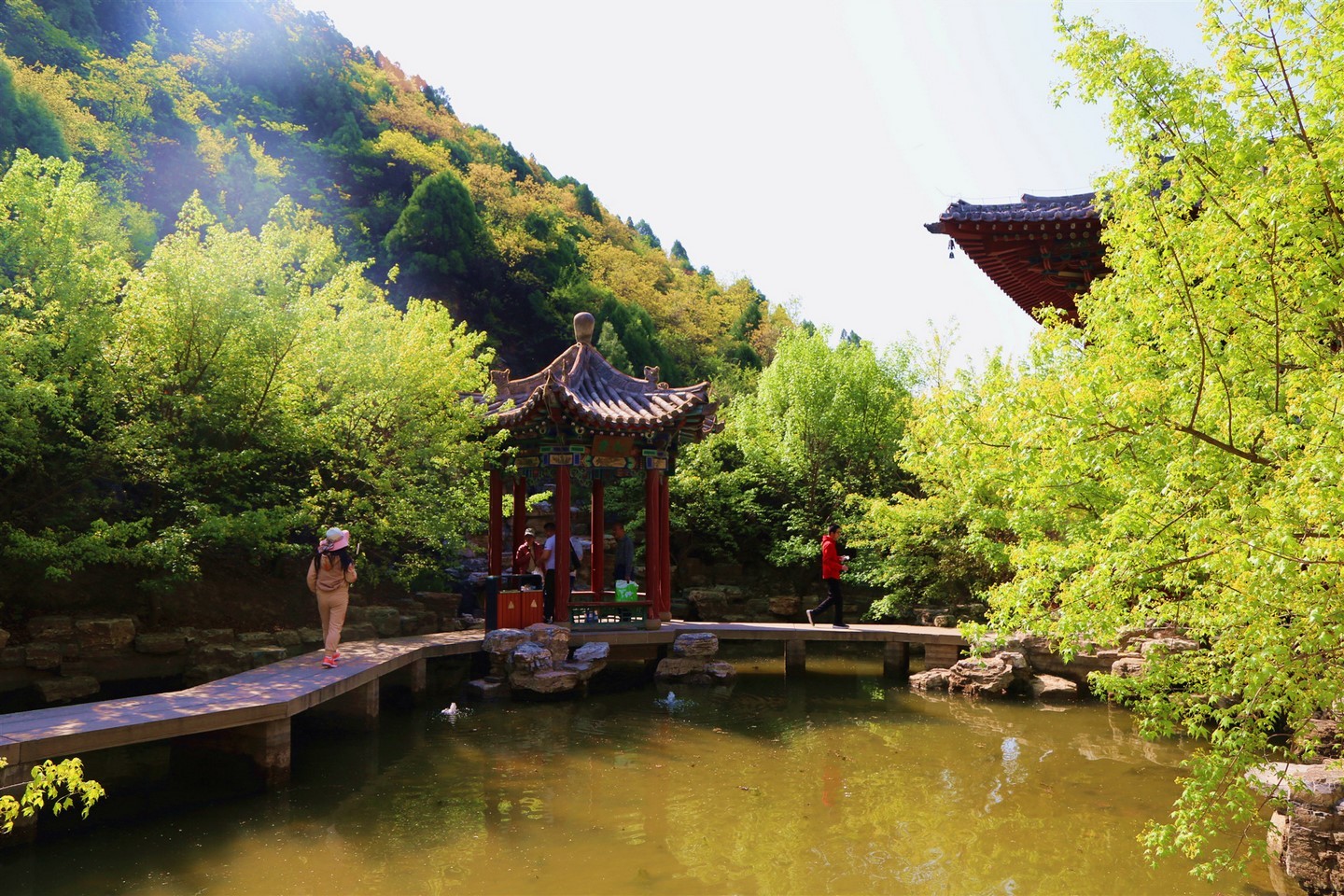 微信图片_20190520092952 微信图片_20190520092952.jpg