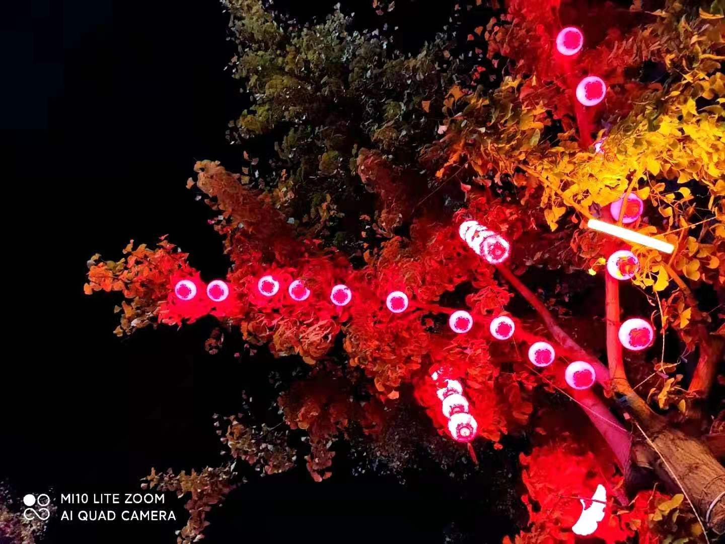 a47a2b7ae8029391b432224e6c36940 a47a2b7ae8029391b432224e6c36940.jpg