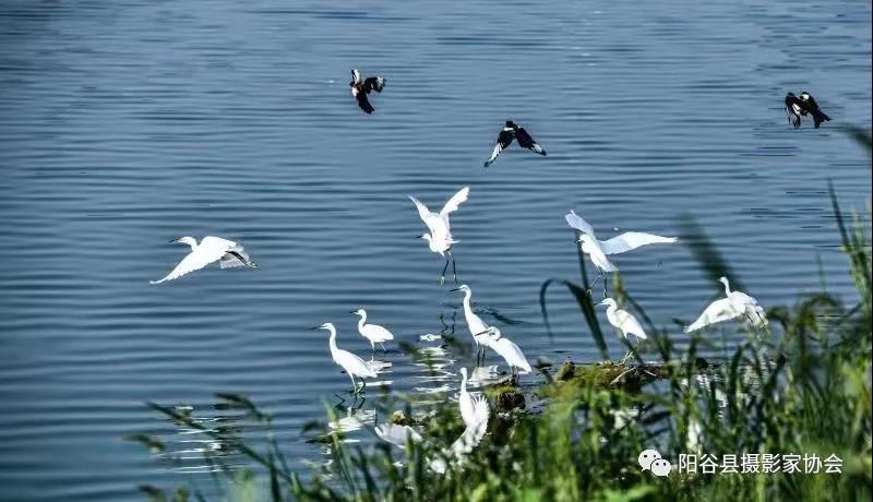 微信图片_20211222111432