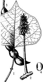 pagenumber_ebook=90,pagenumber_book=90