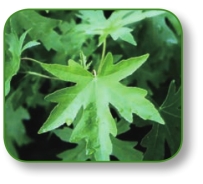 pagenumber_ebook=248,pagenumber_book=235