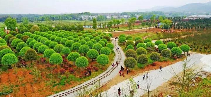 微信图片_20200712001719 微信图片_20200712001719.jpg