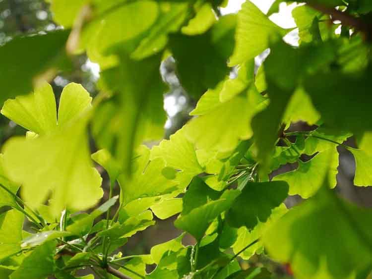 c121efcb266777cc8586e6cecd8f28c