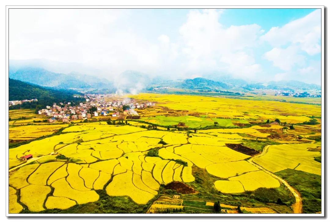 微信图片_20200713204107 微信图片_20200713204107.jpg