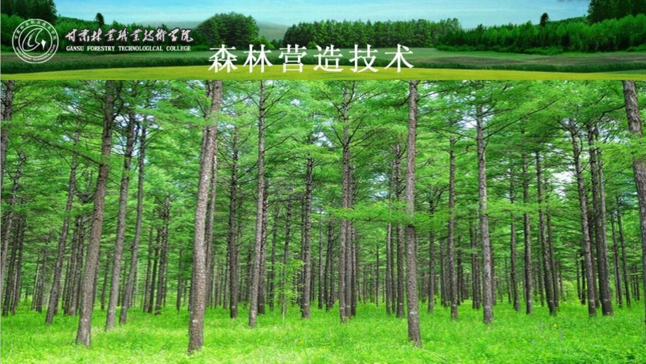 本校课程-甘肃林业职业技术学院网络教学平台