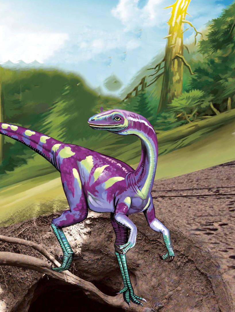 pagenumber_ebook=58,pagenumber_book=47