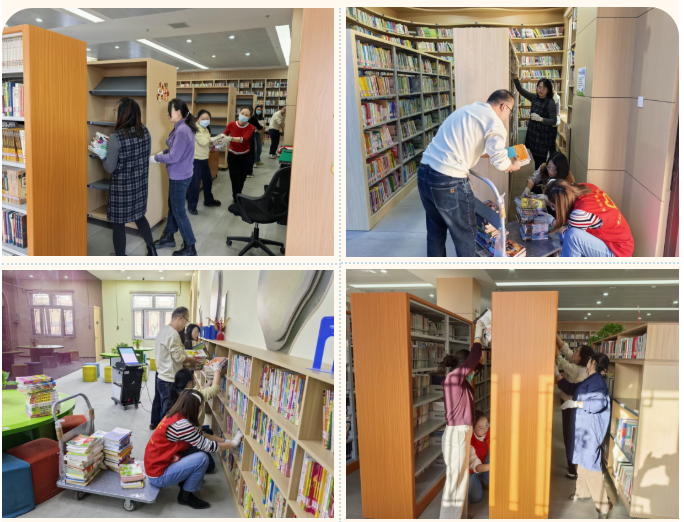 image image.png?v=1770605021895