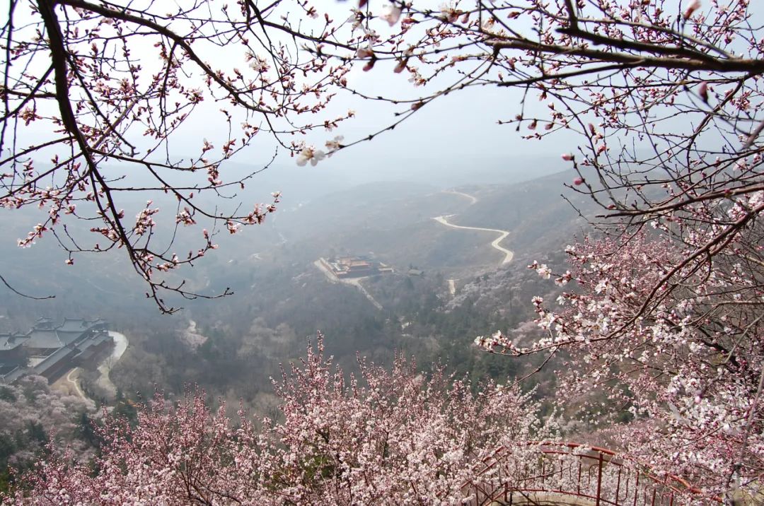 微信图片_20220804160936 - 副本