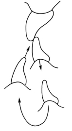 pagenumber_ebook=151,pagenumber_book=142